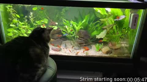 Booker Baxton online show from 09/09/25, 03:06