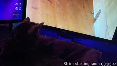 Booker Baxton online show from 09/20/25, 03:07