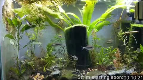 Booker Baxton online show from 09/23/25, 02:58