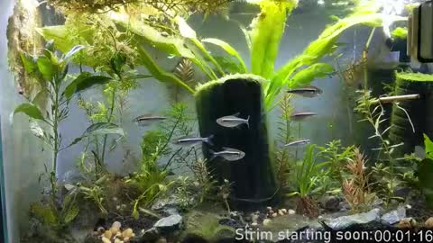 Booker Baxton online show from 12/16/25, 04:06