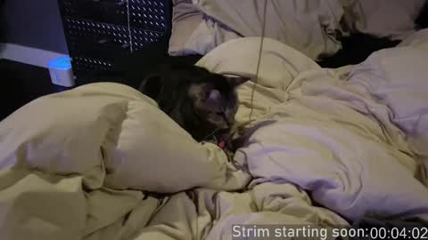 Booker Baxton online show from 12/17/25, 04:07