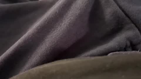 Snapshot of borderslad1101 chatting on 11/07/25, 05:13 Borderslad1101 online show from 11/07/25, 05:13