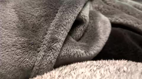 Snapshot of borderslad1101 chatting on 11/23/25, 03:56 Borderslad1101 online show from 11/23/25, 03:56