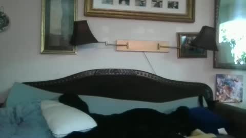 boredaf6678 online show from 12/16/24, 10:50