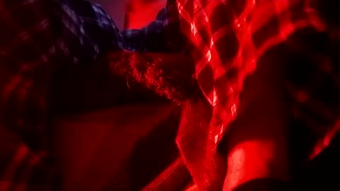 boredaf6678 online show from 02/01/25, 06:32