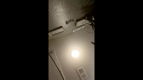 boredaf6678 online show from 03/21/26, 04:28