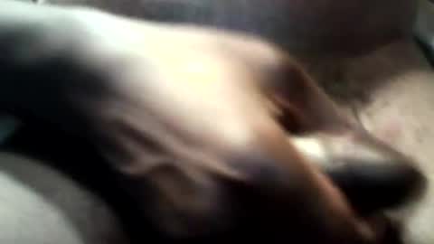 Snapshot of botofogo chatting on 10/31/25, 03:46 botofogo online show from 10/31/25, 03:46