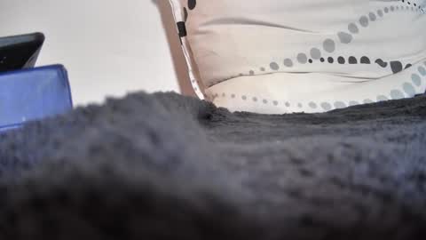 boy3911 online show from 02/11/25, 05:40