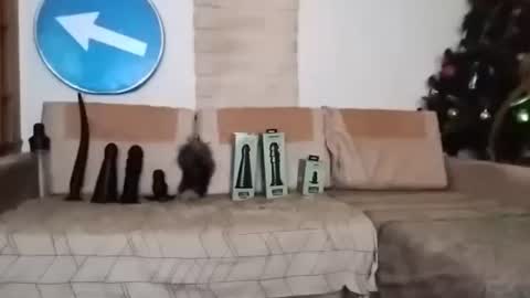 Bes7assquirt online show from 02/22/25, 07:14