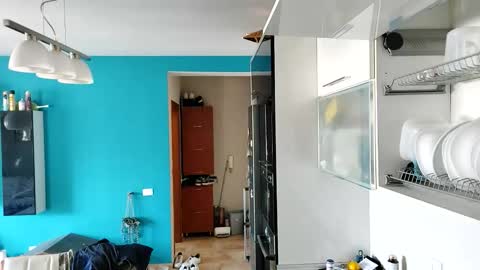 Snapshot of boy_aroundtheworld chatting on 09/13/25, 10:26 Dan online show from 09/13/25, 10:26