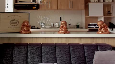 bradleymartin7 online show from 01/11/25, 09:25