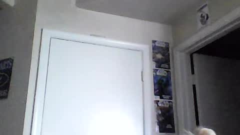 i am a naughty jedi knight online show from 06/15/26, 02:08