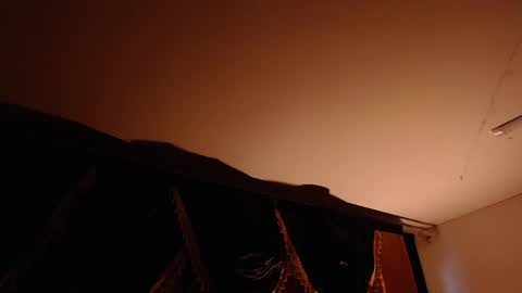 Brandy online show from 02/20/25, 10:26