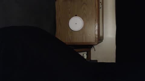 branflakes_ online show from 09/13/25, 02:44