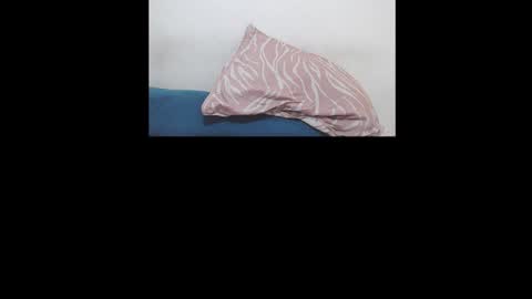 Snapshot of brant_garcia chatting on 01/17/26, 05:56 Brant Garcia online show from 01/17/26, 05:56