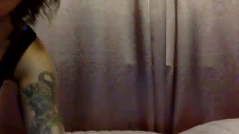 brasilierabrat online show from 06/11/26, 02:33
