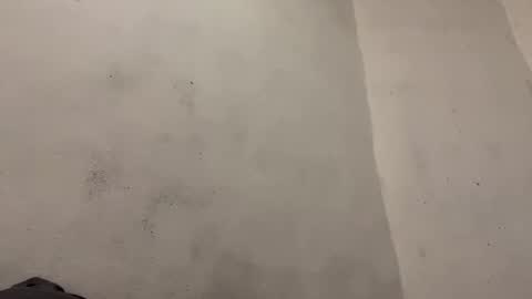 Snapshot of breanexe chatting on 10/29/25, 11:01 breanexe online show from 10/29/25, 11:01