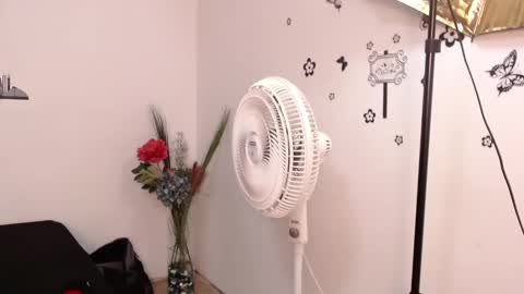 Snapshot of brenda_maz chatting on 01/29/25, 03:15 Brenda online show from 01/29/25, 03:15