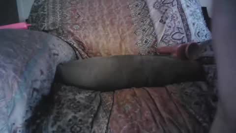 raining down on me online show from 04/29/26, 02:21