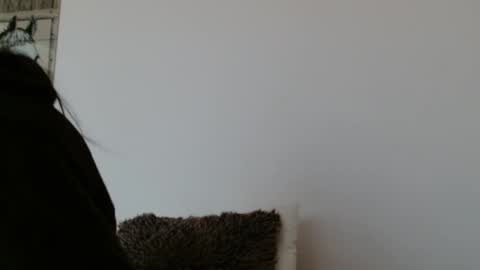 brigittebia777 online show from 10/24/25, 10:11