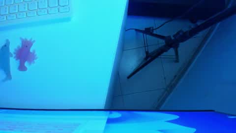 Snapshot of britanny_jones1 chatting on 07/12/26, 08:16 B R I T A N N Y online show from 07/12/26, 08:16
