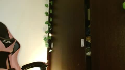 maru miaw   Please help me to reach 100 thumbs up online show from 01/17/26, 05:23