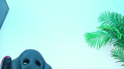 Snapshot of briyit_doll chatting on 02/01/25, 06:32 BRIYIT online show from 02/01/25, 06:32