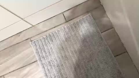 Snapshot of brownboyli chatting on 03/02/26, 03:09 brownboyli online show from 03/02/26, 03:09