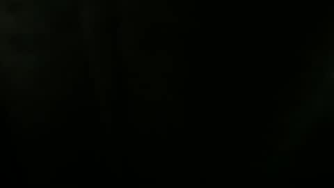 Snapshot of bruceb124u chatting on 11/11/25, 06:46 bruceb124u online show from 11/11/25, 06:46