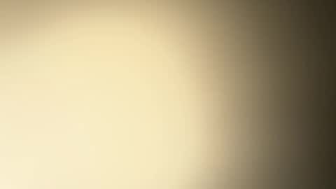 BRUCE online show from 12/26/24, 02:33