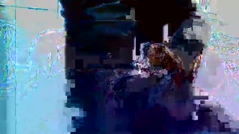 Snapshot of bruno5629 chatting on 11/27/25, 01:13 bruno5629 online show from 11/27/25, 01:13