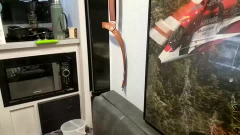 Snapshot of brushsquach chatting on 02/21/25, 10:07 Steve... aka SkinnieDippin aka TimberTramp online show from 02/21/25, 10:07