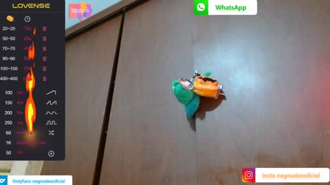 Enjoy the best muscle straws   online show from 01/27/25, 02:10