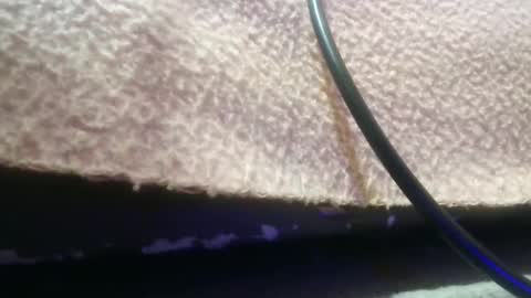 bubumaci53 online show from 11/30/25, 10:47