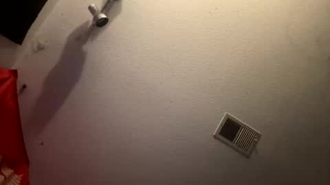 Snapshot of buckoykang chatting on 12/15/24, 11:55 buckoykang online show from 12/15/24, 11:55