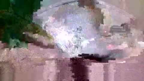 Snapshot of buffsurgeon1 chatting on 09/08/25, 05:34 buffsurgeon1 online show from 09/08/25, 05:34