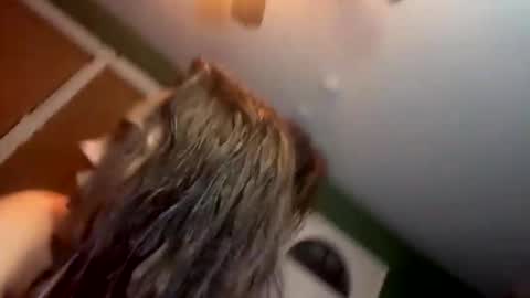 Snapshot of bugnbabs chatting on 11/28/25, 12:57 Yourtrippyhippy online show from 11/28/25, 12:57