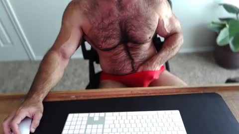 Snapshot of bullbud chatting on 05/11/26, 02:23 Wrestling Dads.. hit me up. online show from 05/11/26, 02:23