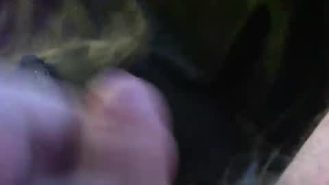 Snapshot of bullemoe chatting on 01/14/25, 02:11 bullemoe online show from 01/14/25, 02:11