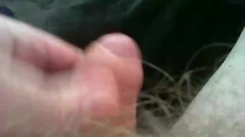 bullemoe online show from 11/02/25, 11:23