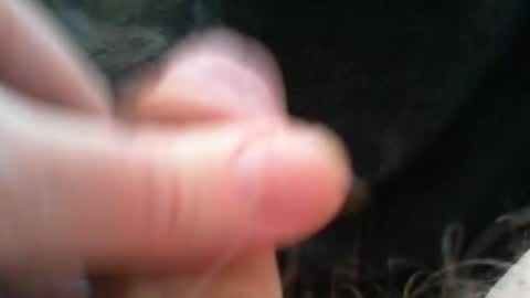 bullemoe online show from 12/15/25, 09:13