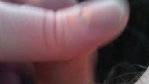 bullemoe online show from 02/15/26, 07:51