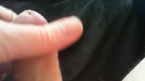 bullemoe online show from 03/24/26, 10:09