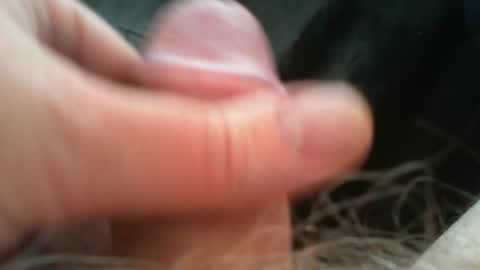 bullemoe online show from 04/26/26, 11:08