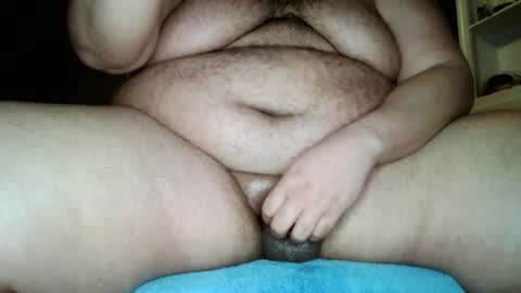 bunbbear online show from 01/15/25, 03:29