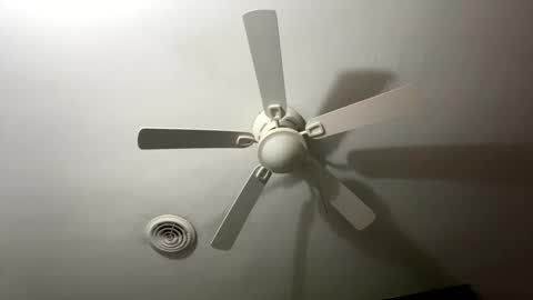 bunnibaby333 online show from 09/28/25, 09:58