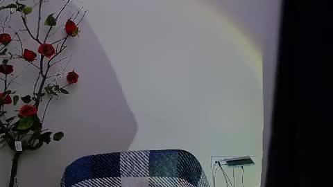 Snapshot of bunnybloom_ chatting on 04/28/26, 08:03 Ariel online show from 04/28/26, 08:03
