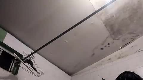 bunnychocolatte69 online show from 11/30/25, 05:00