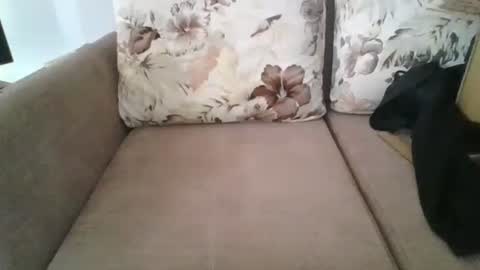 Snapshot of burak20x chatting on 10/30/25, 07:10 burak20x online show from 10/30/25, 07:10