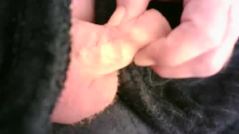 Snapshot of burnside13 chatting on 11/23/25, 12:32 Hamish online show from 11/23/25, 12:32